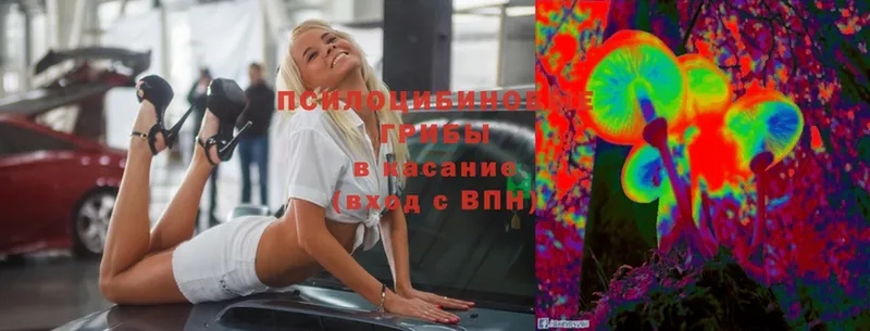 Сколько стоит Ленск Гашиш  Альфа ПВП  MEGA ССЫЛКА  COCAIN  Меф мяу мяу  Кодеин 